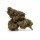 Ανθός Gorilla Cookies 50% Magic Sauce