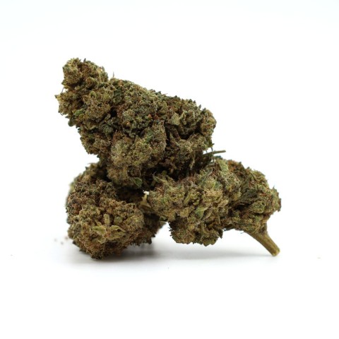 Ανθός Gorilla Cookies 50% Magic Sauce Ανθός Gorilla Cookies 50% Magic Sauce