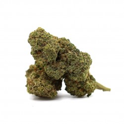 Khalifa Kush 50% Magic Sauce – Signature Energy & Balance