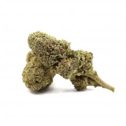 Ανθός Permanent Marker 50% Magic Sauce